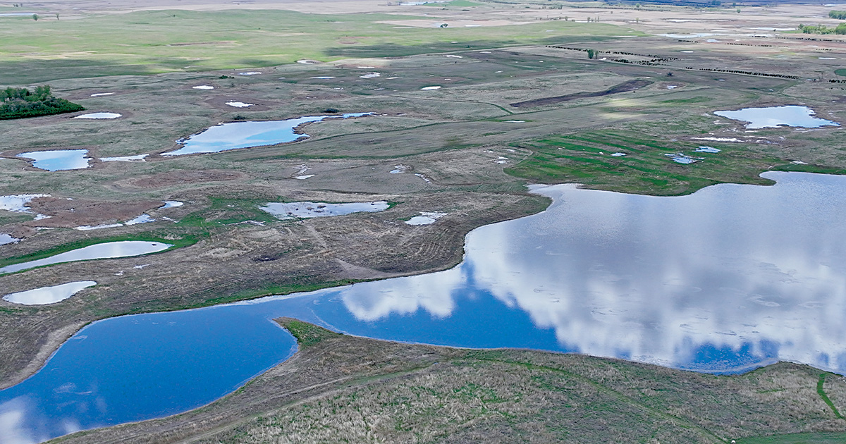 North Dakota's Prairie Pothole Region. Photo by Ben Romans, DU